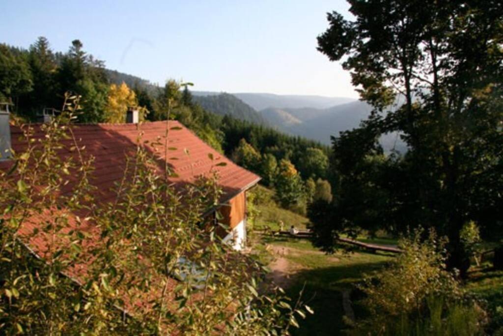 Appartement Dans Vielle Ferme Au Coeur Des Vosges Пленфэн Экстерьер фото